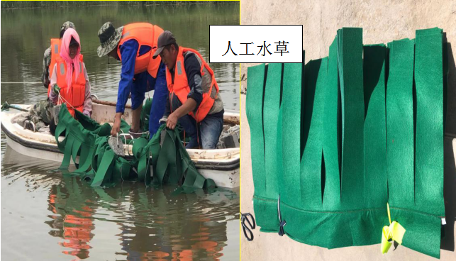 QQ截圖20191218154208.png